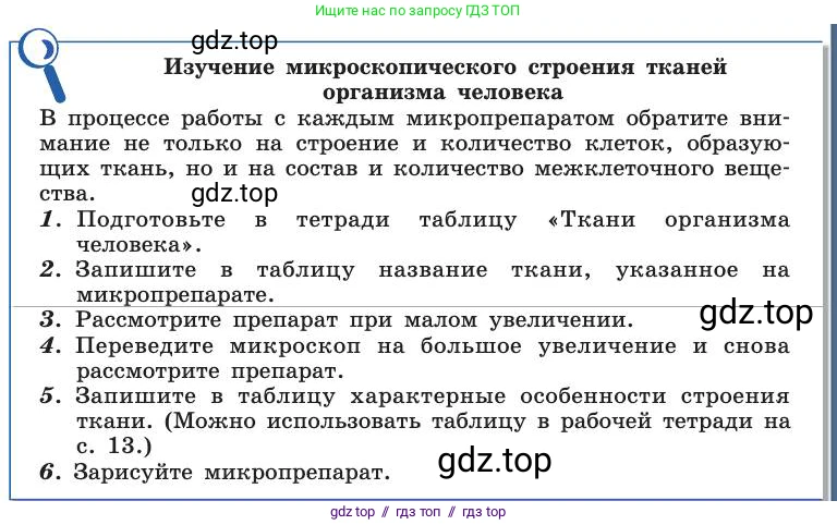 Биология, 8 класс Учебник, авторы: Пасечник Владимир Васильевич, Каменский Андрей Александрович, Швецов Глеб Геннадьевич, издательство Просвещение, Москва, 2019, страница 23, Условие