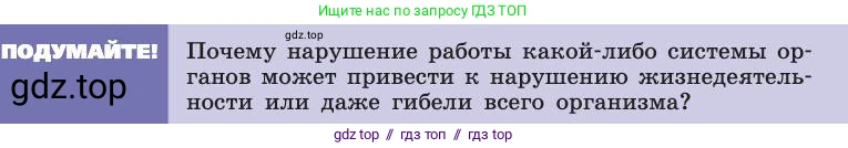 Биология, 8 класс Учебник, авторы: Пасечник Владимир Васильевич, Каменский Андрей Александрович, Швецов Глеб Геннадьевич, издательство Просвещение, Москва, 2019, страница 25, Условие