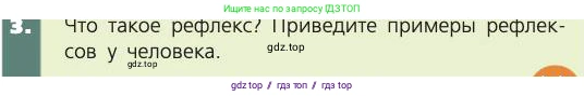 Биология, 8 класс Учебник, авторы: Пасечник Владимир Васильевич, Каменский Андрей Александрович, Швецов Глеб Геннадьевич, издательство Просвещение, Москва, 2019, страница 29, номер 3, Условие