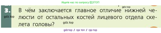 Биология, 8 класс Учебник, авторы: Пасечник Владимир Васильевич, Каменский Андрей Александрович, Швецов Глеб Геннадьевич, издательство Просвещение, Москва, 2019, страница 39, номер 3, Условие