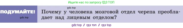 Биология, 8 класс Учебник, авторы: Пасечник Владимир Васильевич, Каменский Андрей Александрович, Швецов Глеб Геннадьевич, издательство Просвещение, Москва, 2019, страница 39, Условие