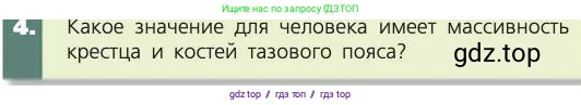 Биология, 8 класс Учебник, авторы: Пасечник Владимир Васильевич, Каменский Андрей Александрович, Швецов Глеб Геннадьевич, издательство Просвещение, Москва, 2019, страница 43, номер 4, Условие