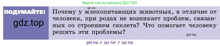 Биология, 8 класс Учебник, авторы: Пасечник Владимир Васильевич, Каменский Андрей Александрович, Швецов Глеб Геннадьевич, издательство Просвещение, Москва, 2019, страница 43, Условие