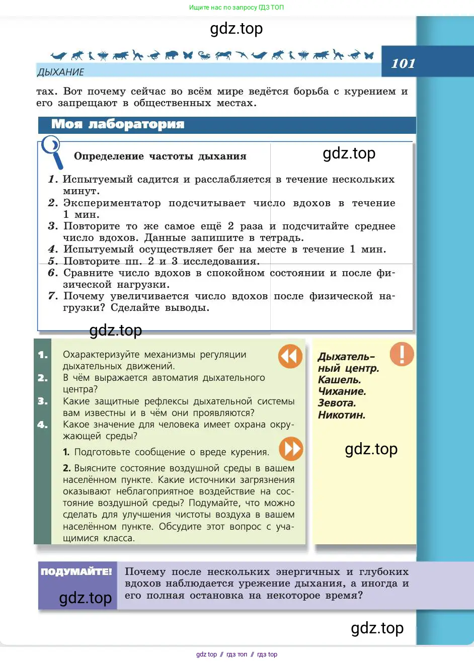 Биология, 8 класс Учебник, авторы: Пасечник Владимир Васильевич, Каменский Андрей Александрович, Швецов Глеб Геннадьевич, издательство Просвещение, Москва, 2019, страница 101