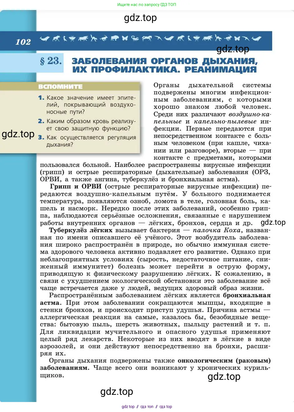 Биология, 8 класс Учебник, авторы: Пасечник Владимир Васильевич, Каменский Андрей Александрович, Швецов Глеб Геннадьевич, издательство Просвещение, Москва, 2019, страница 102
