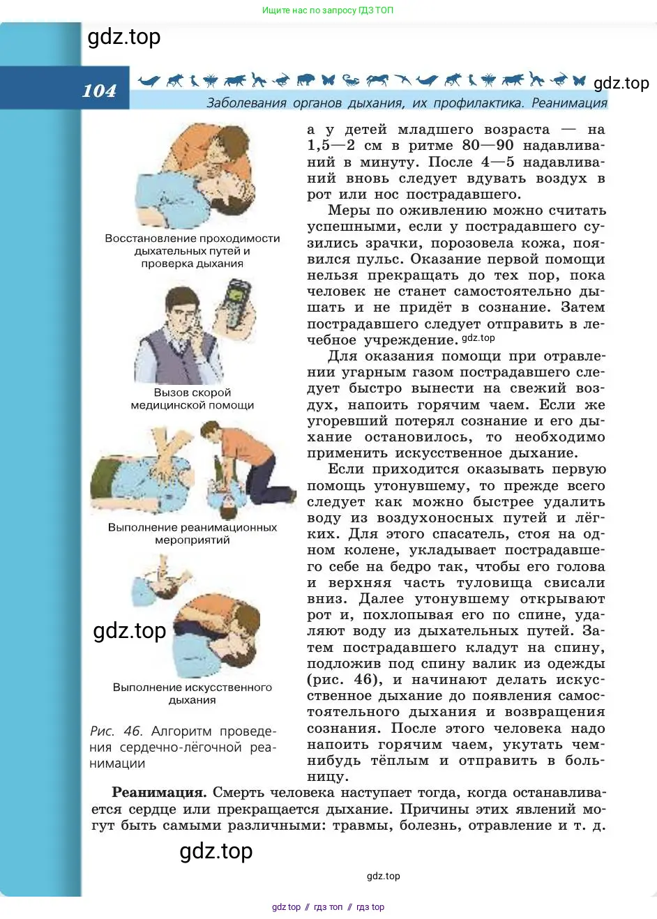 Биология, 8 класс Учебник, авторы: Пасечник Владимир Васильевич, Каменский Андрей Александрович, Швецов Глеб Геннадьевич, издательство Просвещение, Москва, 2019, страница 104