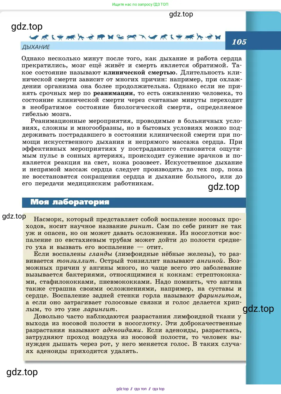 Биология, 8 класс Учебник, авторы: Пасечник Владимир Васильевич, Каменский Андрей Александрович, Швецов Глеб Геннадьевич, издательство Просвещение, Москва, 2019, страница 105