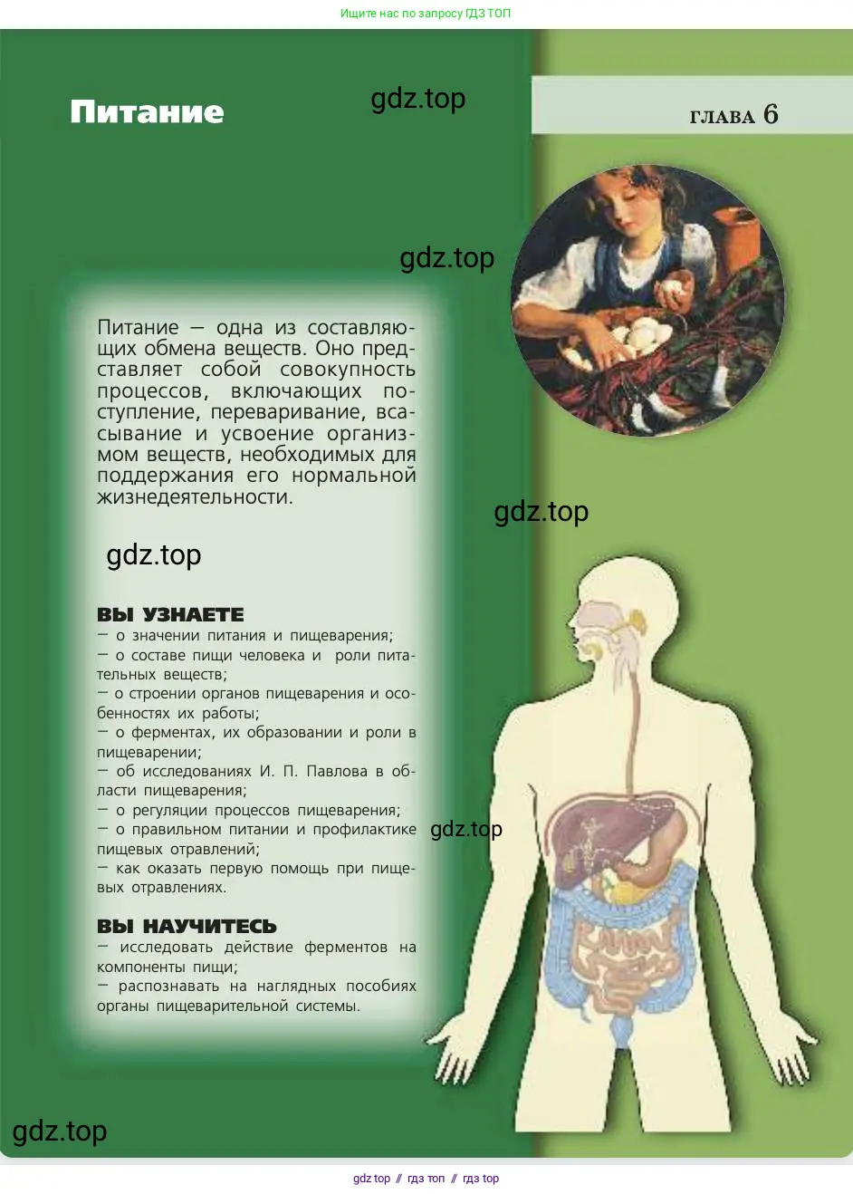 Биология, 8 класс Учебник, авторы: Пасечник Владимир Васильевич, Каменский Андрей Александрович, Швецов Глеб Геннадьевич, издательство Просвещение, Москва, 2019, страница 109