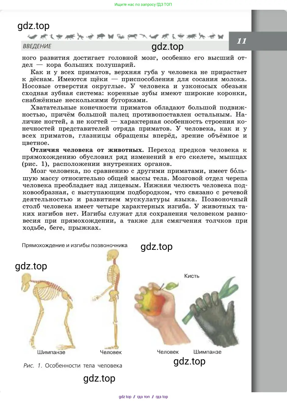 Биология, 8 класс Учебник, авторы: Пасечник Владимир Васильевич, Каменский Андрей Александрович, Швецов Глеб Геннадьевич, издательство Просвещение, Москва, 2019, страница 11
