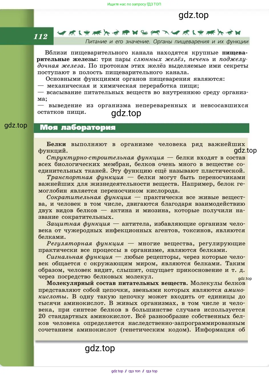 Биология, 8 класс Учебник, авторы: Пасечник Владимир Васильевич, Каменский Андрей Александрович, Швецов Глеб Геннадьевич, издательство Просвещение, Москва, 2019, страница 112