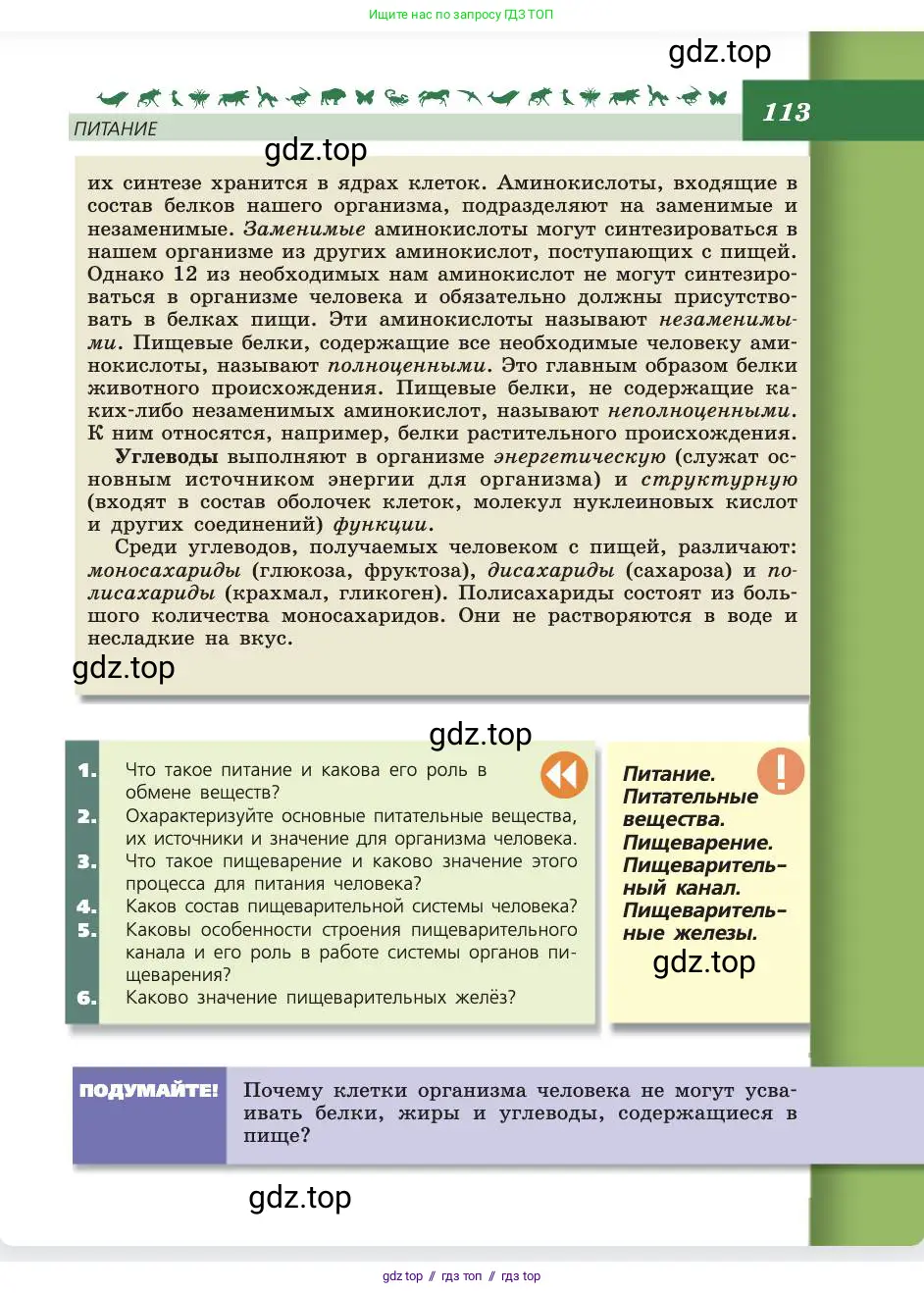 Биология, 8 класс Учебник, авторы: Пасечник Владимир Васильевич, Каменский Андрей Александрович, Швецов Глеб Геннадьевич, издательство Просвещение, Москва, 2019, страница 113