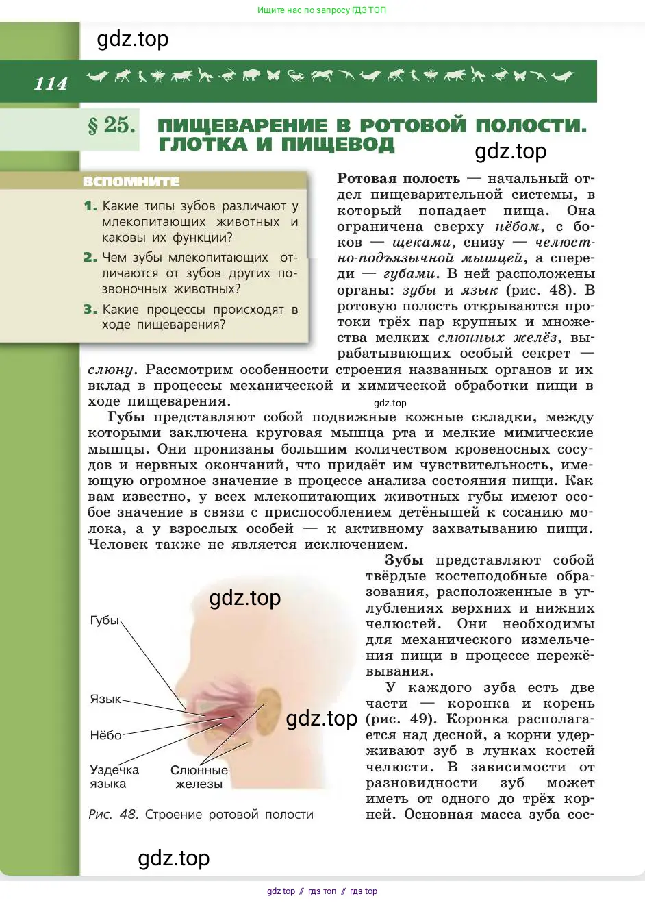 Биология, 8 класс Учебник, авторы: Пасечник Владимир Васильевич, Каменский Андрей Александрович, Швецов Глеб Геннадьевич, издательство Просвещение, Москва, 2019, страница 114