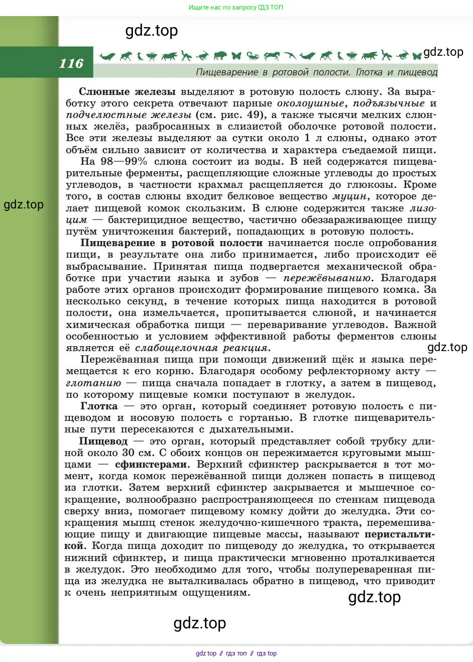 Биология, 8 класс Учебник, авторы: Пасечник Владимир Васильевич, Каменский Андрей Александрович, Швецов Глеб Геннадьевич, издательство Просвещение, Москва, 2019, страница 116