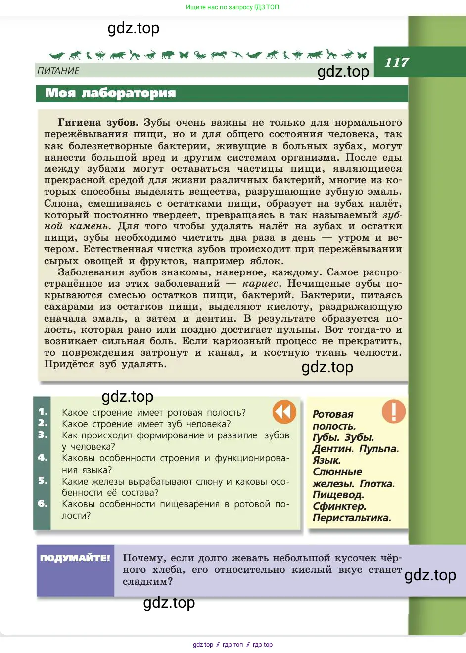 Биология, 8 класс Учебник, авторы: Пасечник Владимир Васильевич, Каменский Андрей Александрович, Швецов Глеб Геннадьевич, издательство Просвещение, Москва, 2019, страница 117