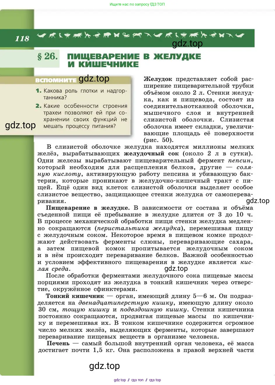 Биология, 8 класс Учебник, авторы: Пасечник Владимир Васильевич, Каменский Андрей Александрович, Швецов Глеб Геннадьевич, издательство Просвещение, Москва, 2019, страница 118