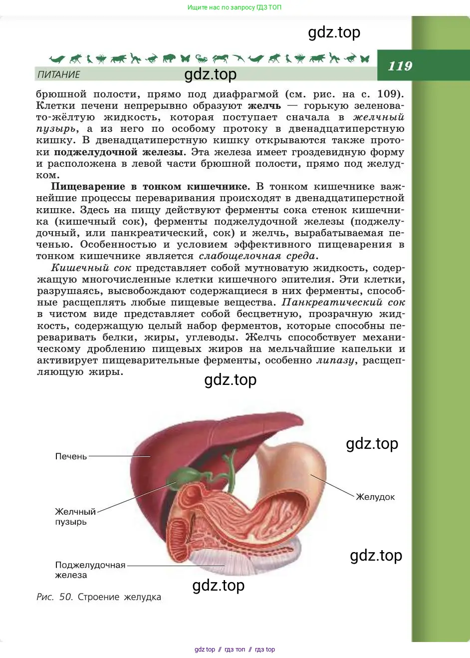 Биология, 8 класс Учебник, авторы: Пасечник Владимир Васильевич, Каменский Андрей Александрович, Швецов Глеб Геннадьевич, издательство Просвещение, Москва, 2019, страница 119