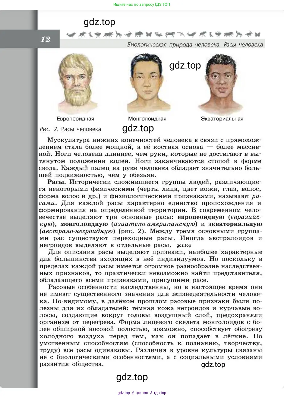 Биология, 8 класс Учебник, авторы: Пасечник Владимир Васильевич, Каменский Андрей Александрович, Швецов Глеб Геннадьевич, издательство Просвещение, Москва, 2019, страница 12