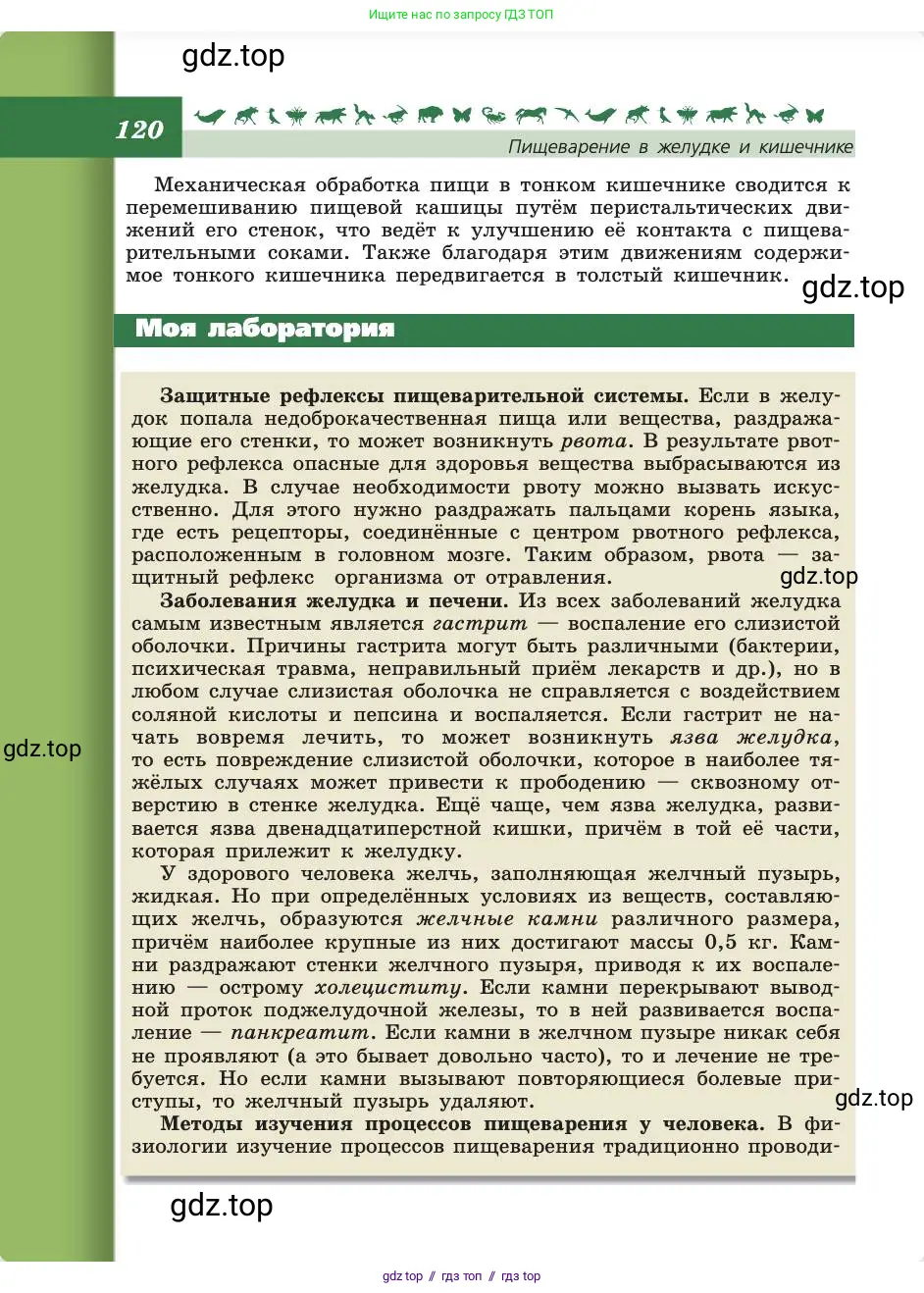Биология, 8 класс Учебник, авторы: Пасечник Владимир Васильевич, Каменский Андрей Александрович, Швецов Глеб Геннадьевич, издательство Просвещение, Москва, 2019, страница 120