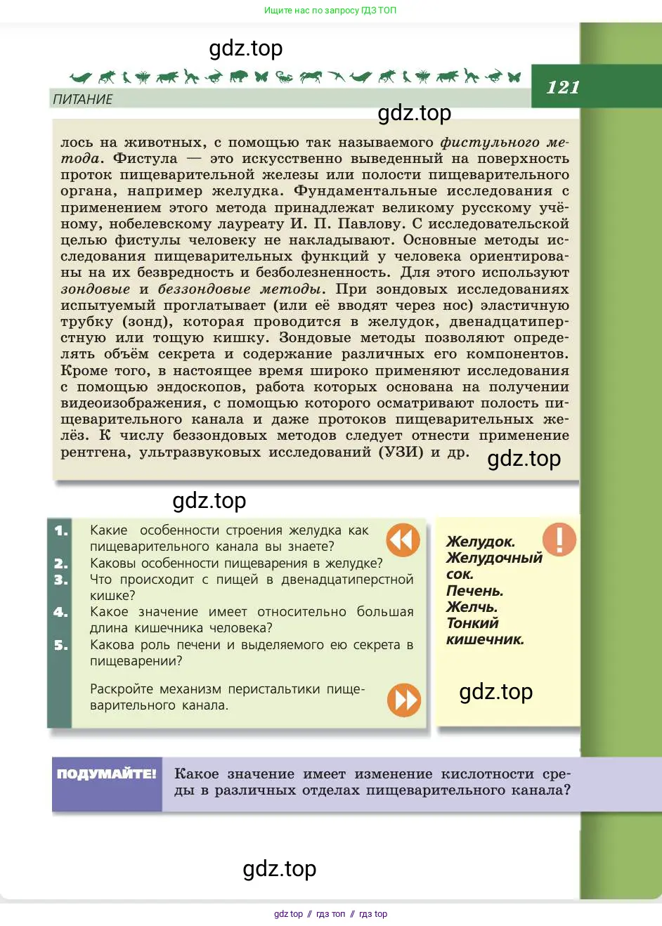 Биология, 8 класс Учебник, авторы: Пасечник Владимир Васильевич, Каменский Андрей Александрович, Швецов Глеб Геннадьевич, издательство Просвещение, Москва, 2019, страница 121
