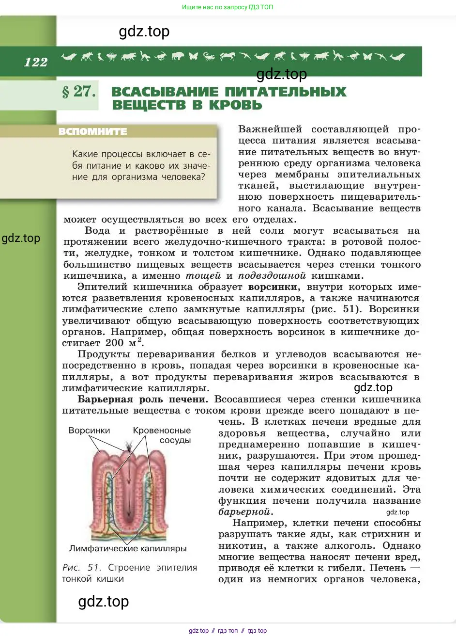 Биология, 8 класс Учебник, авторы: Пасечник Владимир Васильевич, Каменский Андрей Александрович, Швецов Глеб Геннадьевич, издательство Просвещение, Москва, 2019, страница 122