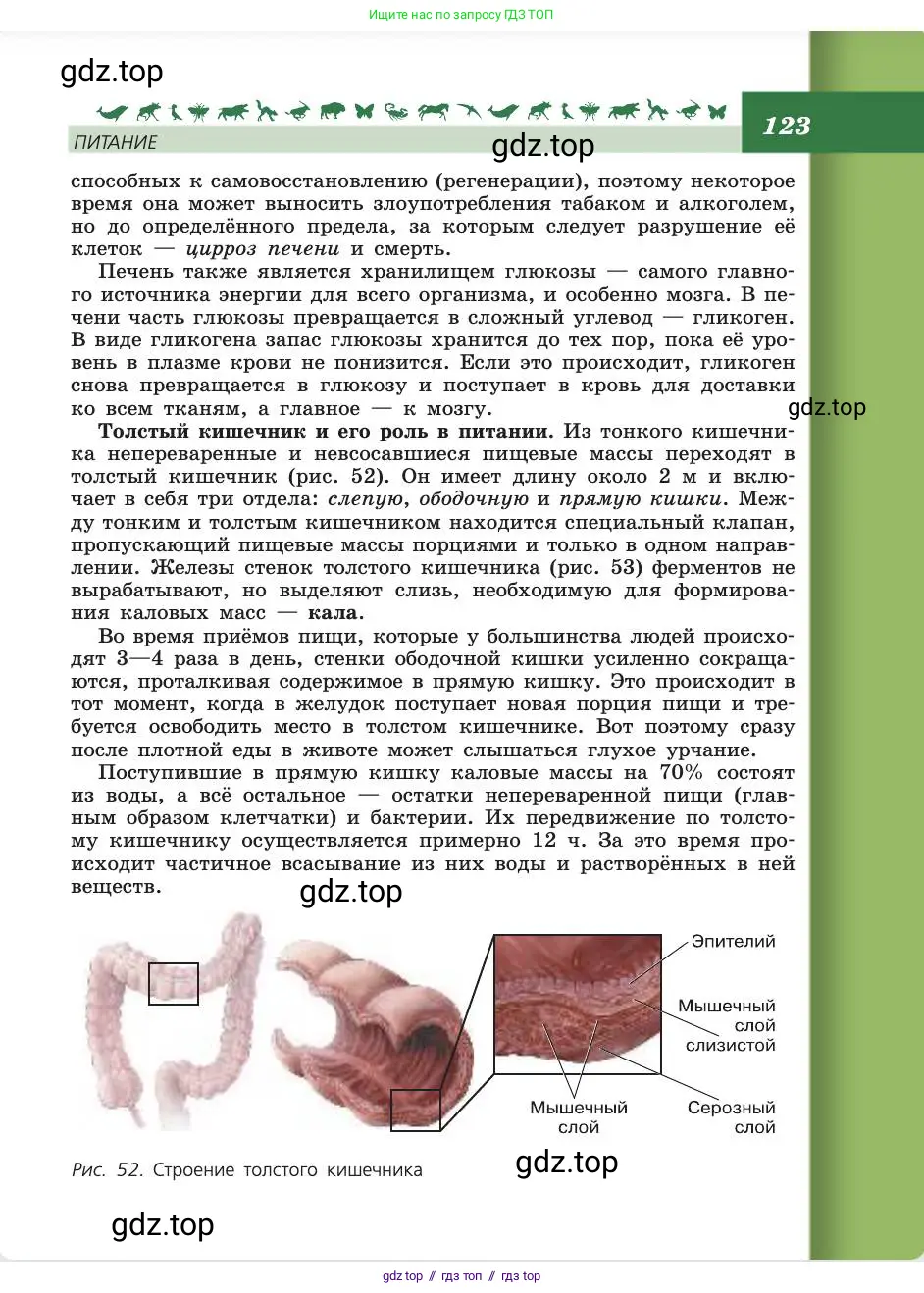 Биология, 8 класс Учебник, авторы: Пасечник Владимир Васильевич, Каменский Андрей Александрович, Швецов Глеб Геннадьевич, издательство Просвещение, Москва, 2019, страница 123