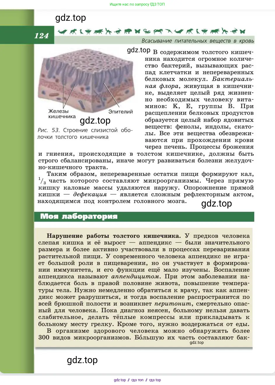 Биология, 8 класс Учебник, авторы: Пасечник Владимир Васильевич, Каменский Андрей Александрович, Швецов Глеб Геннадьевич, издательство Просвещение, Москва, 2019, страница 124