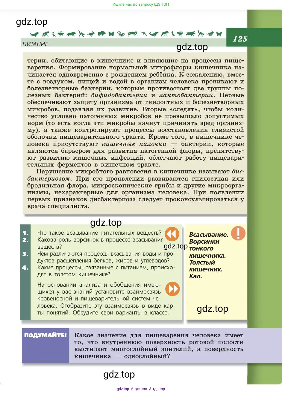 Биология, 8 класс Учебник, авторы: Пасечник Владимир Васильевич, Каменский Андрей Александрович, Швецов Глеб Геннадьевич, издательство Просвещение, Москва, 2019, страница 125