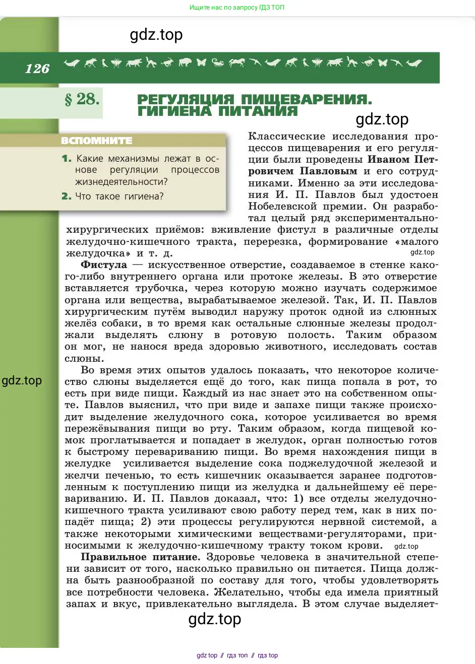 Биология, 8 класс Учебник, авторы: Пасечник Владимир Васильевич, Каменский Андрей Александрович, Швецов Глеб Геннадьевич, издательство Просвещение, Москва, 2019, страница 126