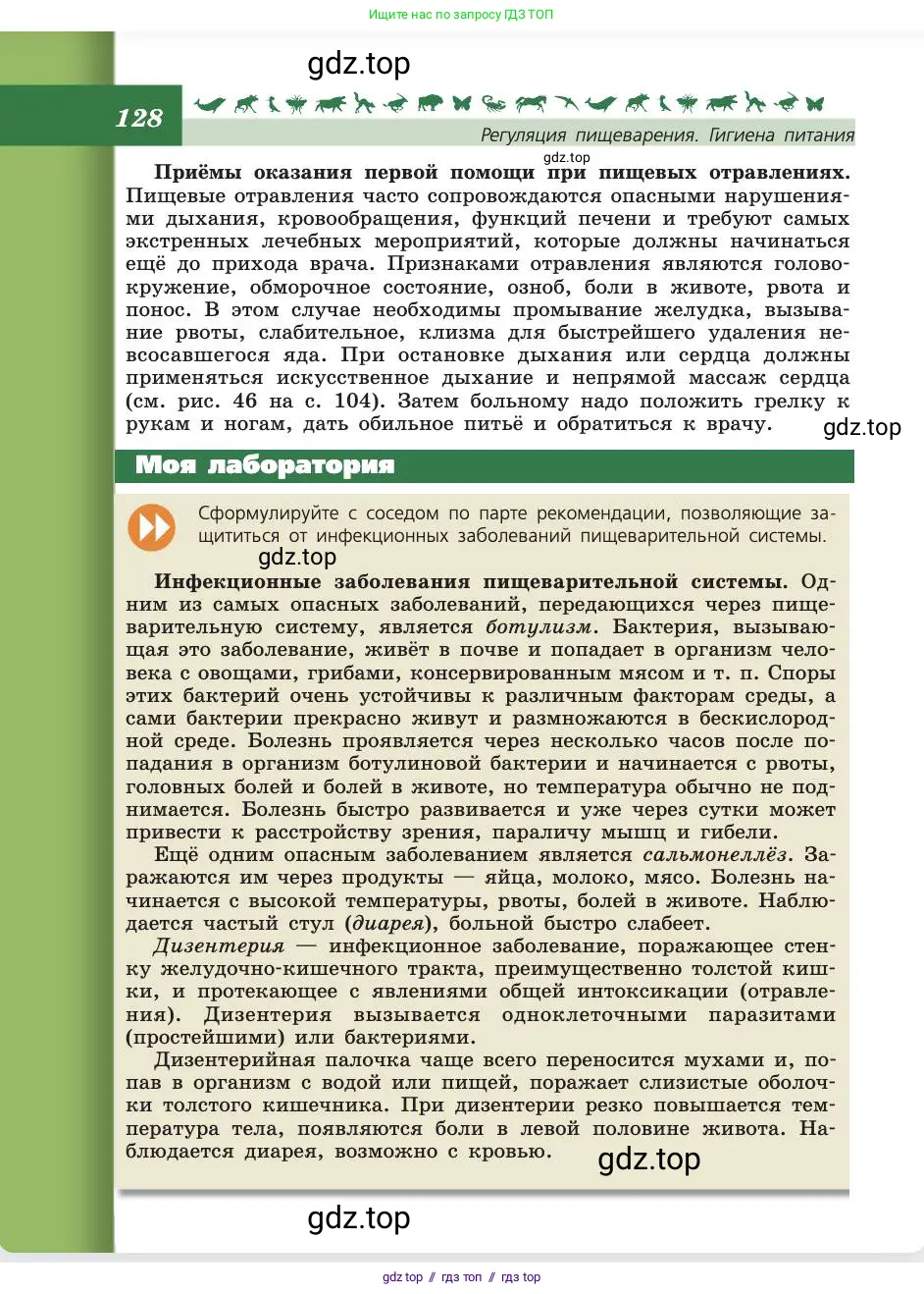 Биология, 8 класс Учебник, авторы: Пасечник Владимир Васильевич, Каменский Андрей Александрович, Швецов Глеб Геннадьевич, издательство Просвещение, Москва, 2019, страница 128