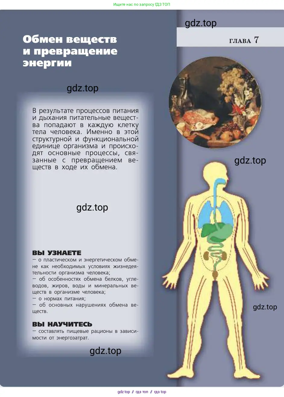 Биология, 8 класс Учебник, авторы: Пасечник Владимир Васильевич, Каменский Андрей Александрович, Швецов Глеб Геннадьевич, издательство Просвещение, Москва, 2019, страница 131