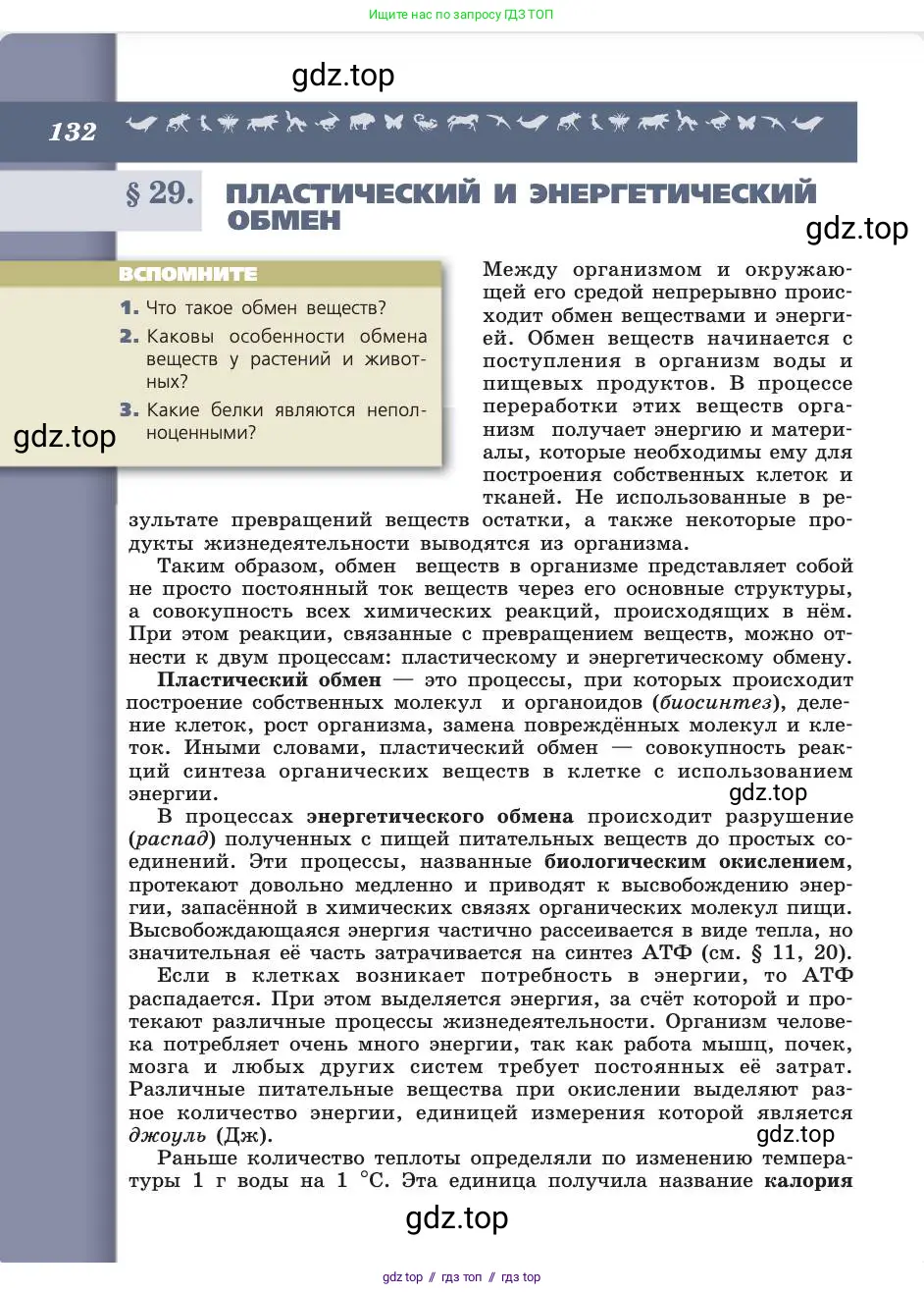 Биология, 8 класс Учебник, авторы: Пасечник Владимир Васильевич, Каменский Андрей Александрович, Швецов Глеб Геннадьевич, издательство Просвещение, Москва, 2019, страница 132