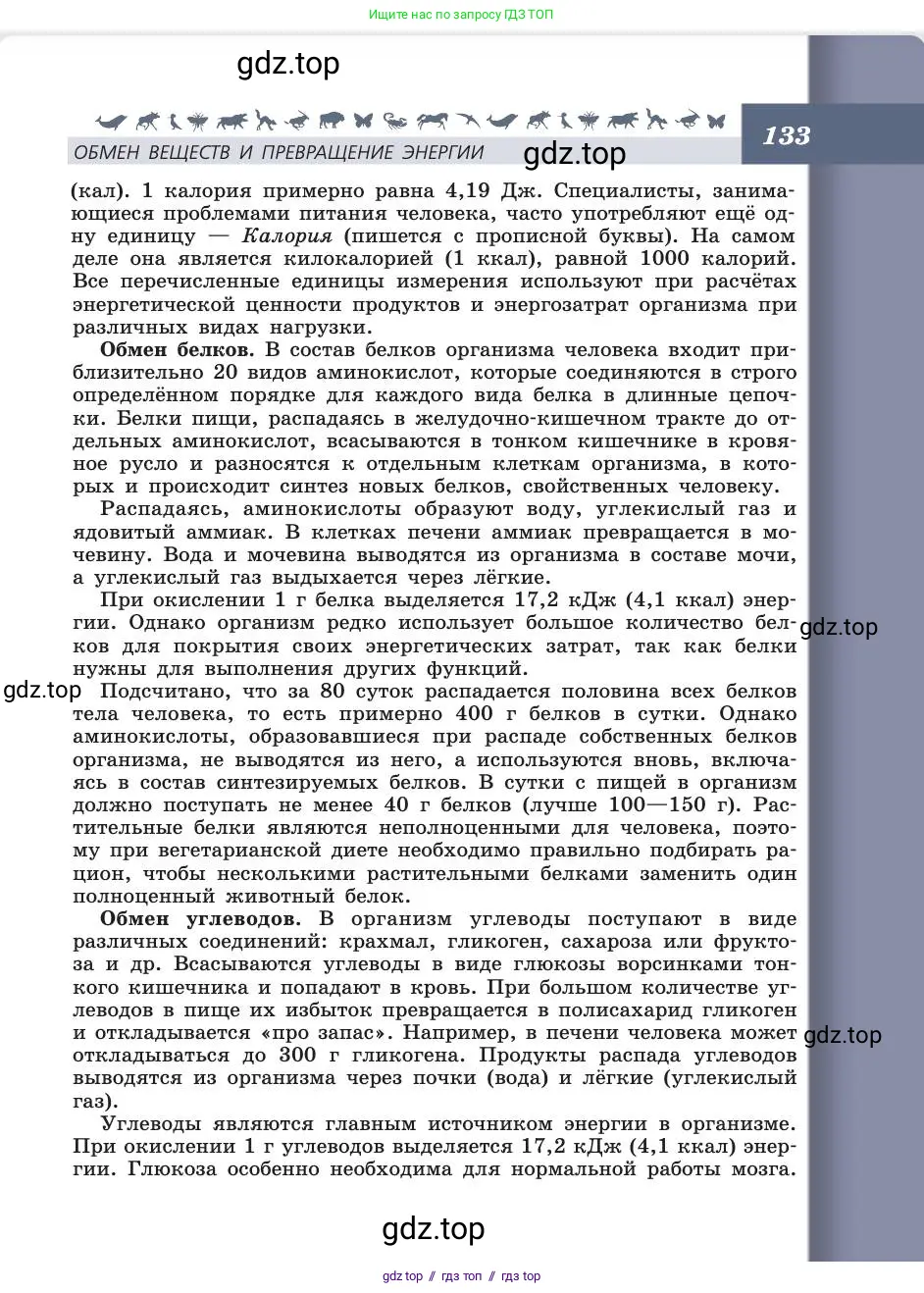 Биология, 8 класс Учебник, авторы: Пасечник Владимир Васильевич, Каменский Андрей Александрович, Швецов Глеб Геннадьевич, издательство Просвещение, Москва, 2019, страница 133