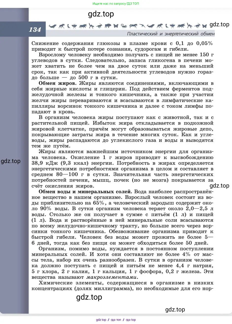 Биология, 8 класс Учебник, авторы: Пасечник Владимир Васильевич, Каменский Андрей Александрович, Швецов Глеб Геннадьевич, издательство Просвещение, Москва, 2019, страница 134