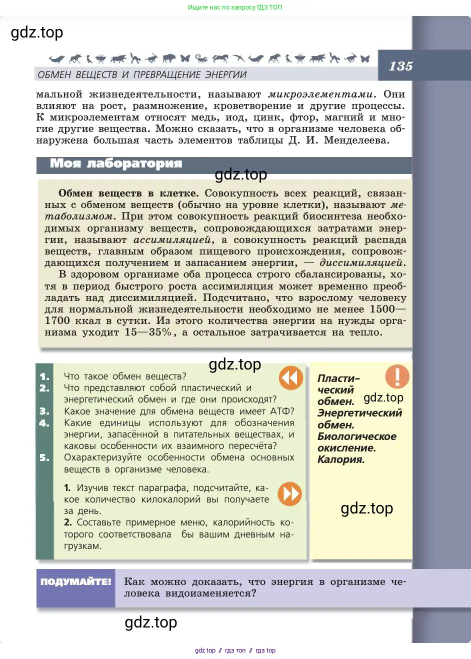 Биология, 8 класс Учебник, авторы: Пасечник Владимир Васильевич, Каменский Андрей Александрович, Швецов Глеб Геннадьевич, издательство Просвещение, Москва, 2019, страница 135
