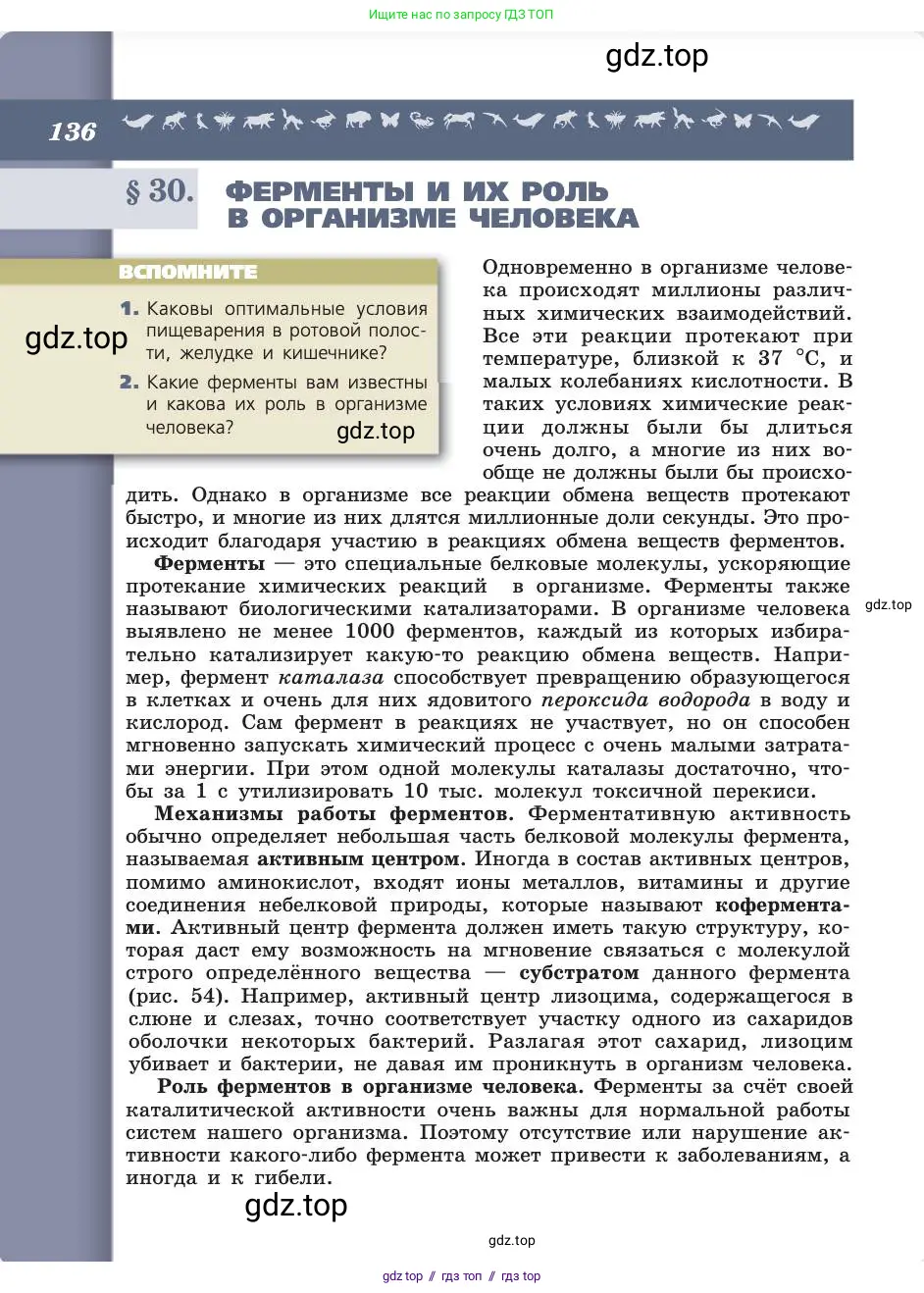 Биология, 8 класс Учебник, авторы: Пасечник Владимир Васильевич, Каменский Андрей Александрович, Швецов Глеб Геннадьевич, издательство Просвещение, Москва, 2019, страница 136