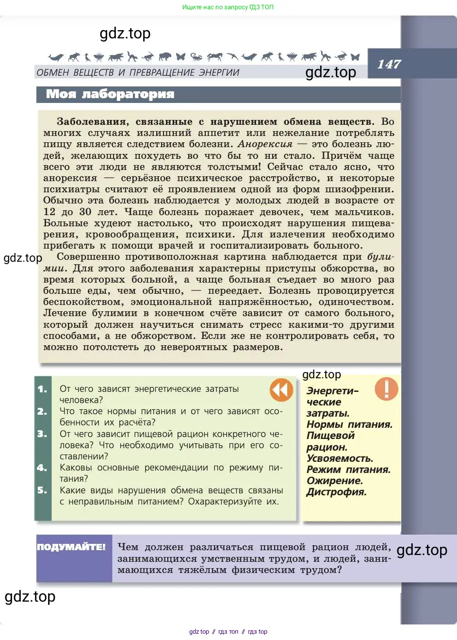 Биология, 8 класс Учебник, авторы: Пасечник Владимир Васильевич, Каменский Андрей Александрович, Швецов Глеб Геннадьевич, издательство Просвещение, Москва, 2019, страница 147