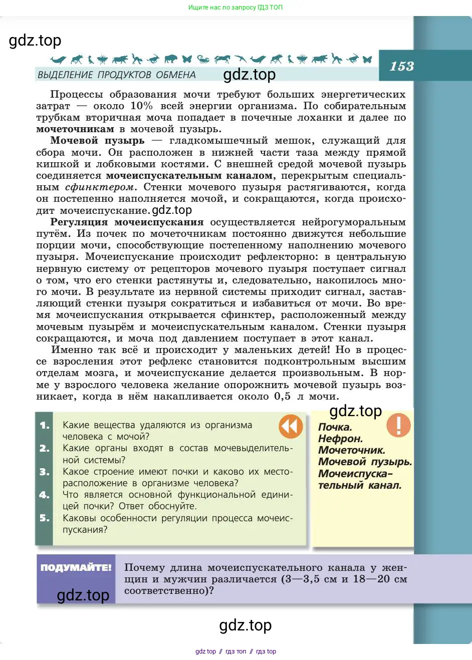 Биология, 8 класс Учебник, авторы: Пасечник Владимир Васильевич, Каменский Андрей Александрович, Швецов Глеб Геннадьевич, издательство Просвещение, Москва, 2019, страница 153