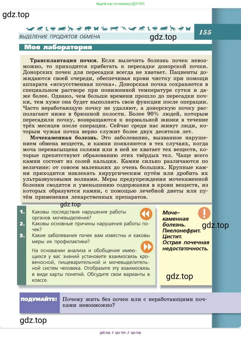 Биология, 8 класс Учебник, авторы: Пасечник Владимир Васильевич, Каменский Андрей Александрович, Швецов Глеб Геннадьевич, издательство Просвещение, Москва, 2019, страница 155
