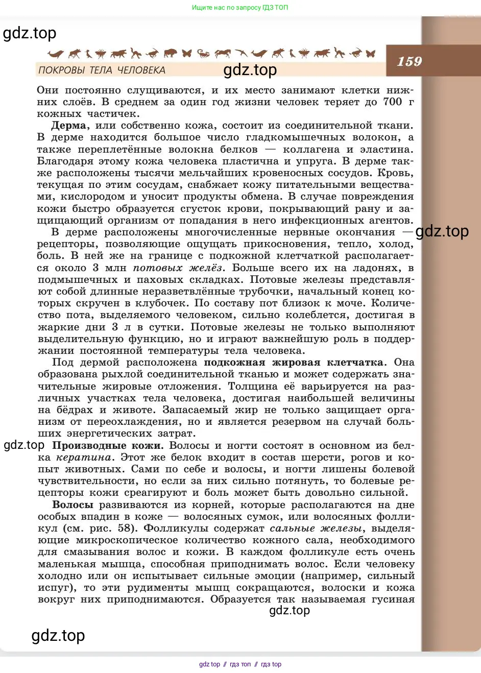 Биология, 8 класс Учебник, авторы: Пасечник Владимир Васильевич, Каменский Андрей Александрович, Швецов Глеб Геннадьевич, издательство Просвещение, Москва, 2019, страница 159