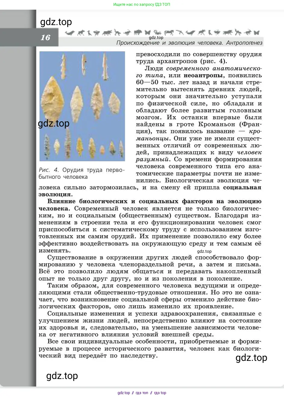 Биология, 8 класс Учебник, авторы: Пасечник Владимир Васильевич, Каменский Андрей Александрович, Швецов Глеб Геннадьевич, издательство Просвещение, Москва, 2019, страница 16