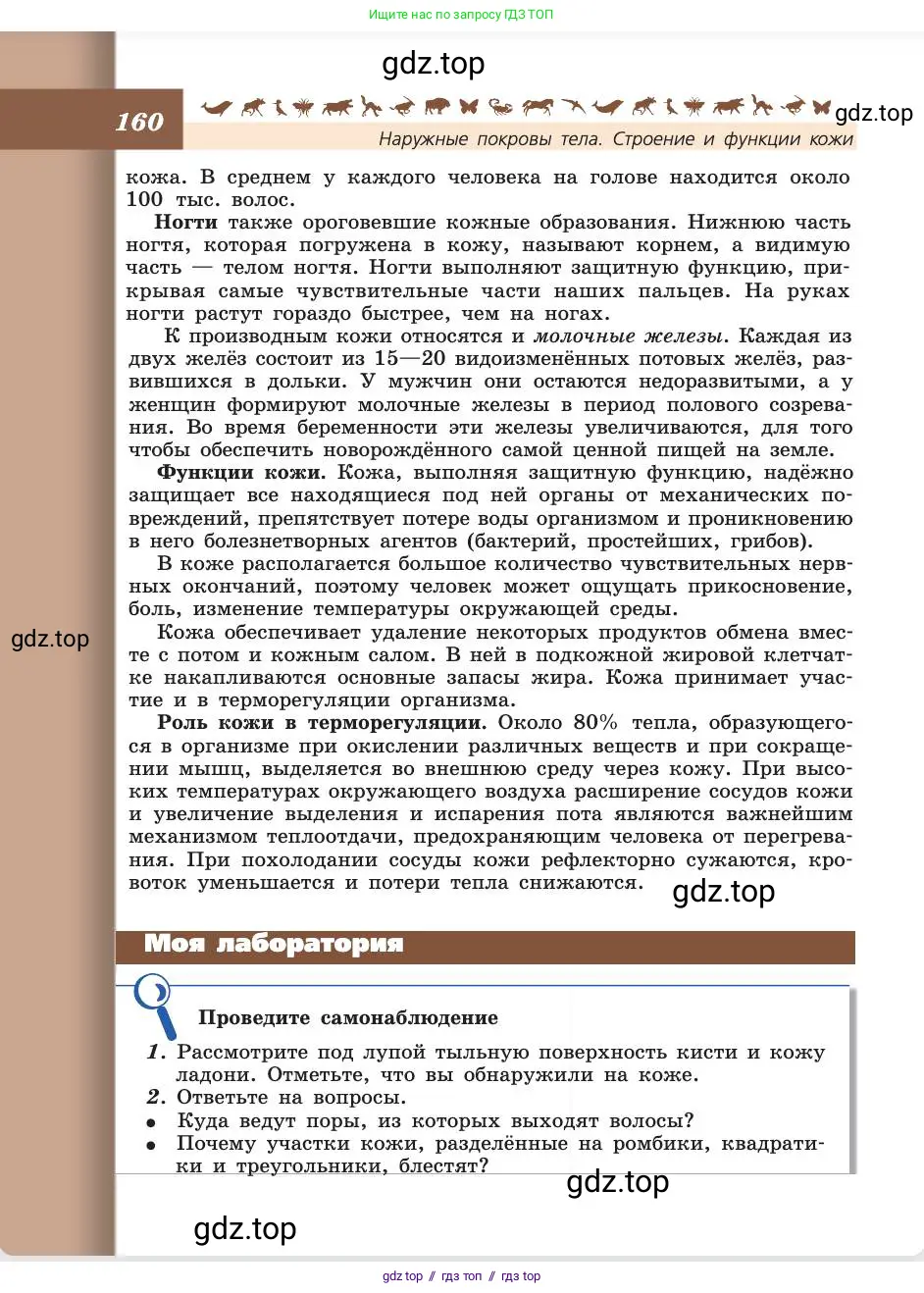 Биология, 8 класс Учебник, авторы: Пасечник Владимир Васильевич, Каменский Андрей Александрович, Швецов Глеб Геннадьевич, издательство Просвещение, Москва, 2019, страница 160