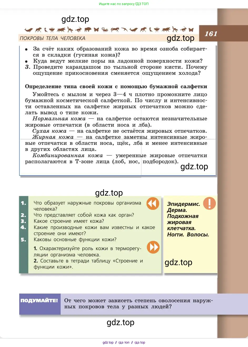 Биология, 8 класс Учебник, авторы: Пасечник Владимир Васильевич, Каменский Андрей Александрович, Швецов Глеб Геннадьевич, издательство Просвещение, Москва, 2019, страница 161