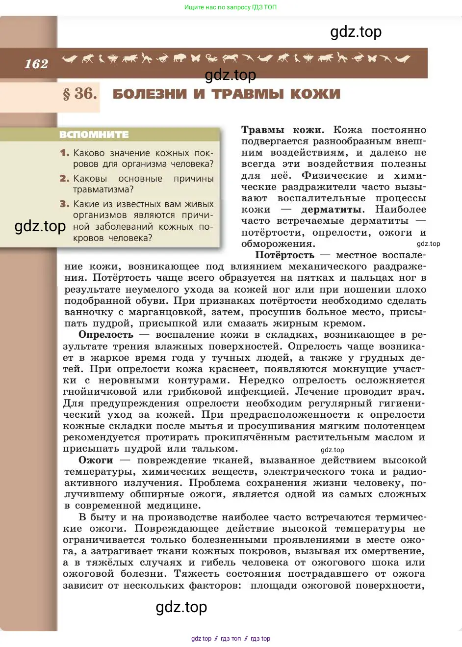 Биология, 8 класс Учебник, авторы: Пасечник Владимир Васильевич, Каменский Андрей Александрович, Швецов Глеб Геннадьевич, издательство Просвещение, Москва, 2019, страница 162