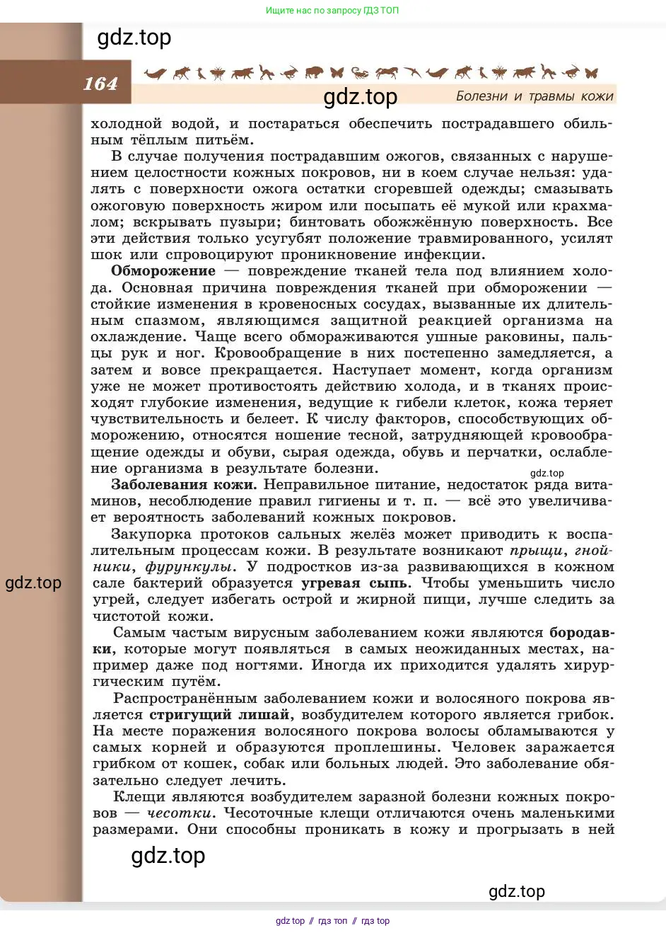 Биология, 8 класс Учебник, авторы: Пасечник Владимир Васильевич, Каменский Андрей Александрович, Швецов Глеб Геннадьевич, издательство Просвещение, Москва, 2019, страница 164