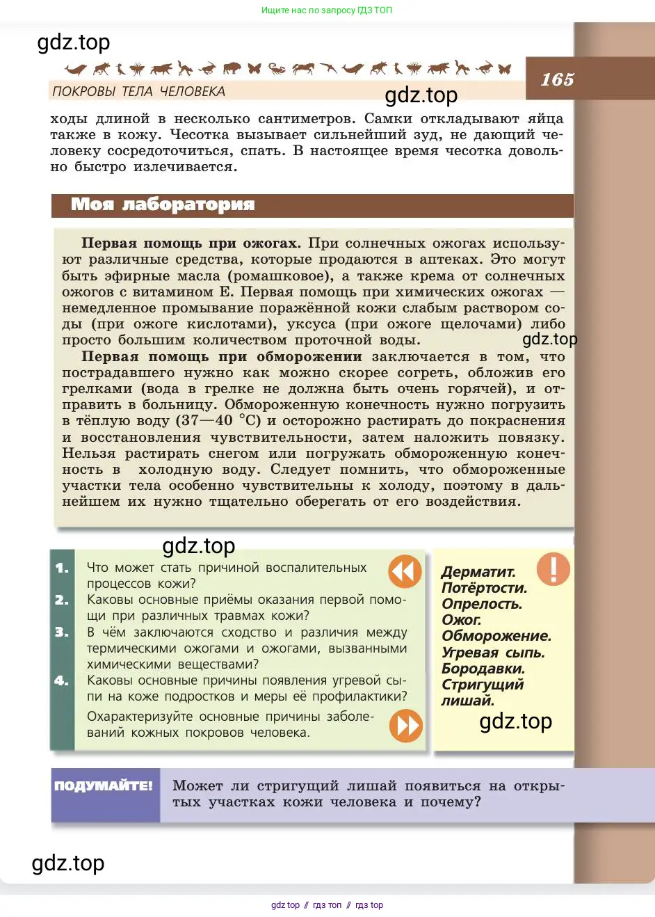 Биология, 8 класс Учебник, авторы: Пасечник Владимир Васильевич, Каменский Андрей Александрович, Швецов Глеб Геннадьевич, издательство Просвещение, Москва, 2019, страница 165