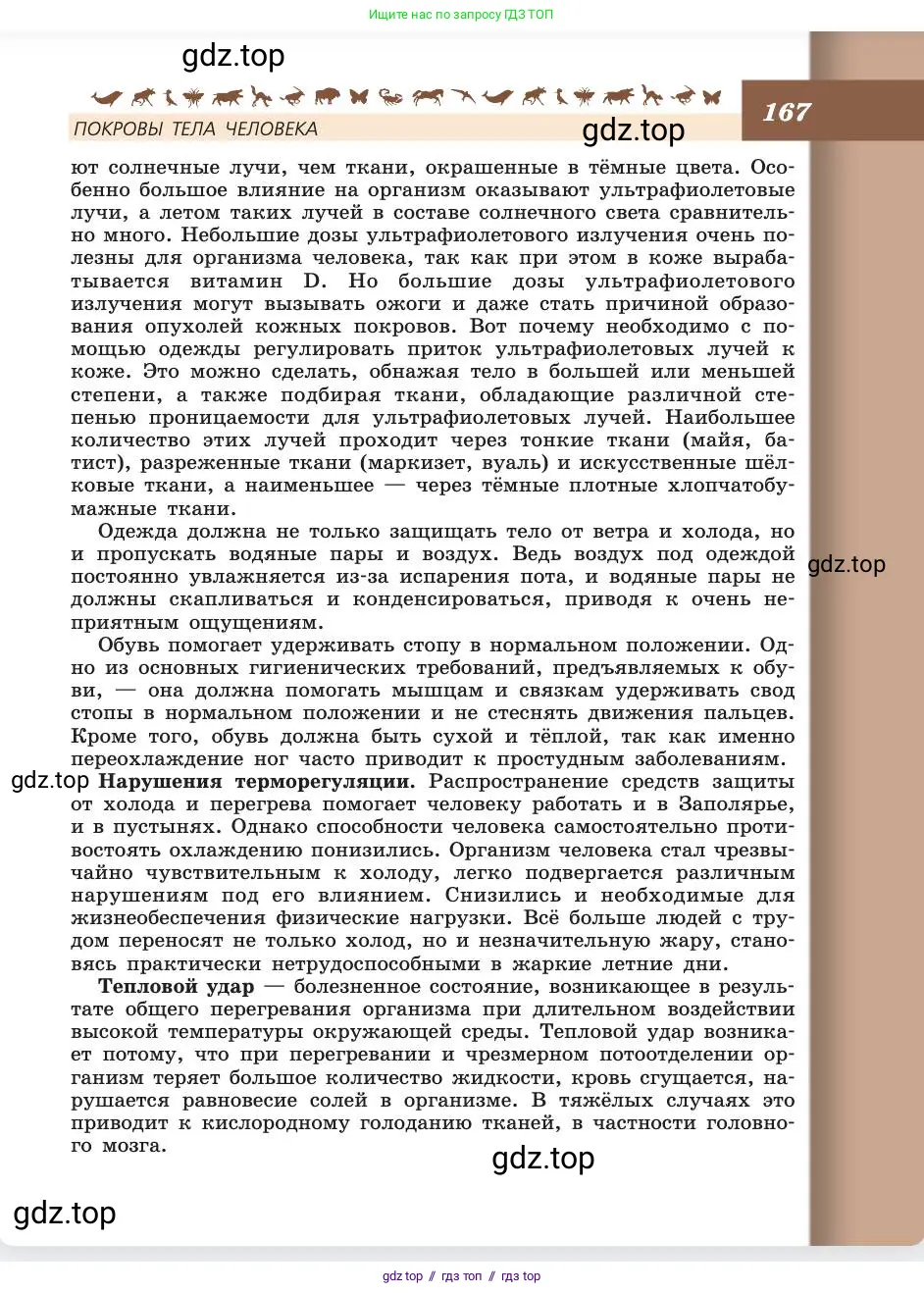 Биология, 8 класс Учебник, авторы: Пасечник Владимир Васильевич, Каменский Андрей Александрович, Швецов Глеб Геннадьевич, издательство Просвещение, Москва, 2019, страница 167