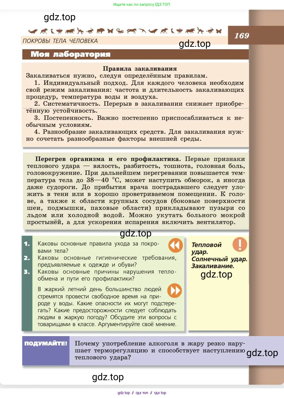 Биология, 8 класс Учебник, авторы: Пасечник Владимир Васильевич, Каменский Андрей Александрович, Швецов Глеб Геннадьевич, издательство Просвещение, Москва, 2019, страница 169