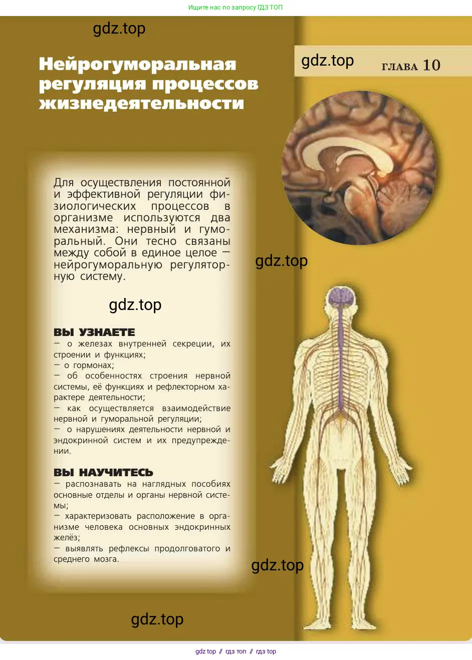 Биология, 8 класс Учебник, авторы: Пасечник Владимир Васильевич, Каменский Андрей Александрович, Швецов Глеб Геннадьевич, издательство Просвещение, Москва, 2019, страница 171