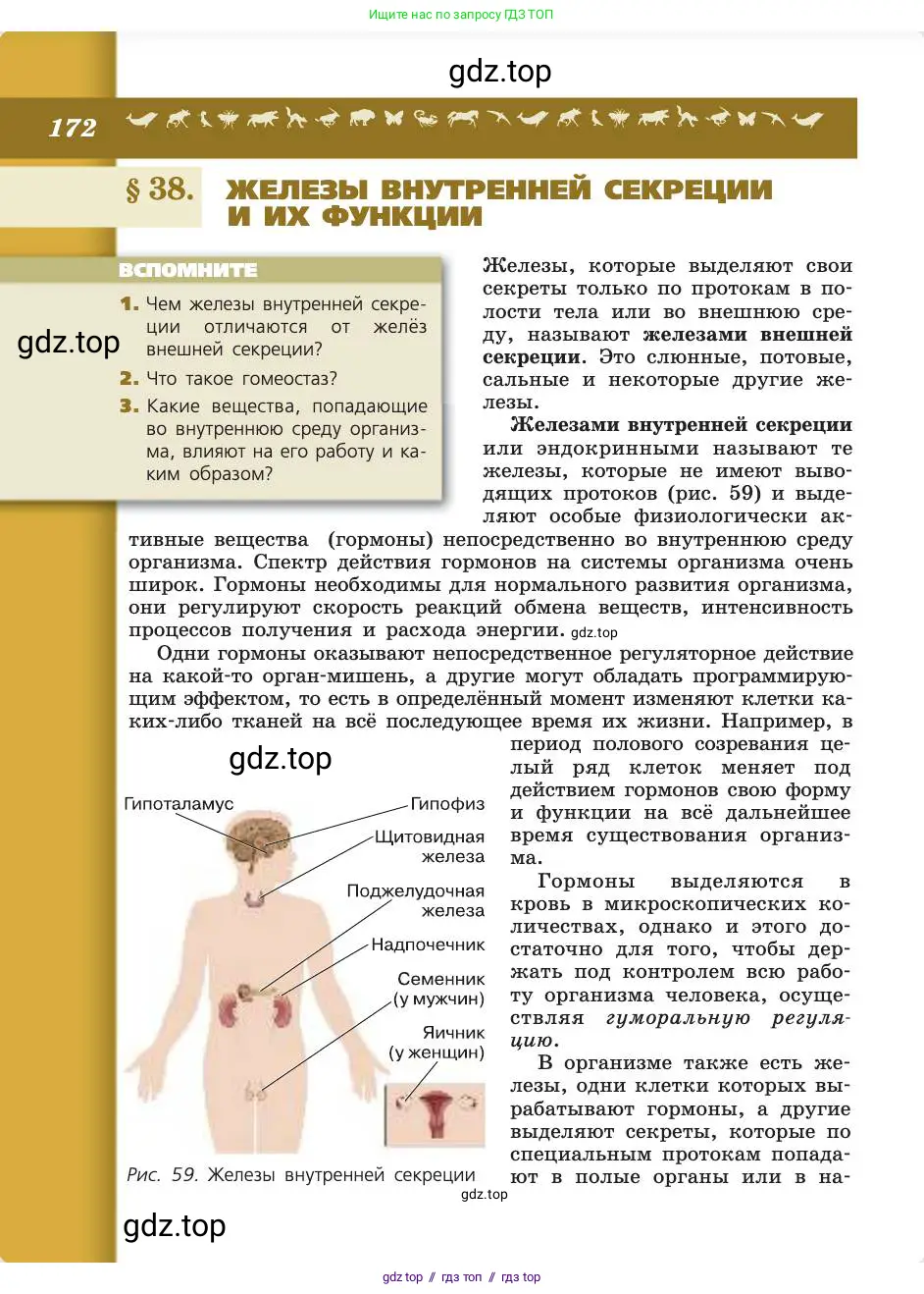 Биология, 8 класс Учебник, авторы: Пасечник Владимир Васильевич, Каменский Андрей Александрович, Швецов Глеб Геннадьевич, издательство Просвещение, Москва, 2019, страница 172
