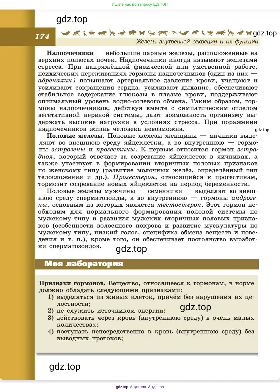 Биология, 8 класс Учебник, авторы: Пасечник Владимир Васильевич, Каменский Андрей Александрович, Швецов Глеб Геннадьевич, издательство Просвещение, Москва, 2019, страница 174